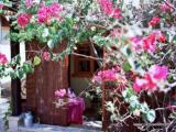 Eilat Bed and Breakfast in Israel - Holiday Guest house near Eilat Mountains