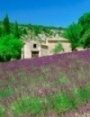 Villas, and apartments in France