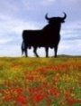 Spain vacation rentals