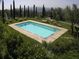 Lucca hillside vacation rental villa - Self catering villa