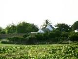 Rural holiday cortijo Arcos de la Frontera - Cortijo vacation home in Andalucia