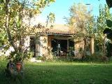 Corfu holiday villa with pool - Charming home on Corfu, Greek Islands