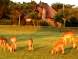 South Africa holiday lodge - Self catering vacation home in Mpumalanga