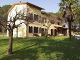 Montecarlo chateau in Lucca - Tuscan farmhouse in olive trees and vineyards