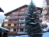 Zermatt Ski holiday apartment rental - Lovely ski home in Valais, Switzerland