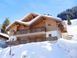 Chatel ski holiday apartment - ski holiday apartment in Rhone-Alpes, France