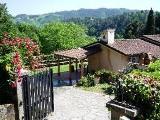 Camaiore holiday villa Lucca area - Italian self catering Tuscany villa