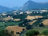 Holiday apartments in Mergo, Marche - Marche family vacation apartments in Mergo