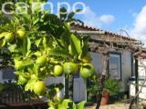 Costa Azul self catering holiday cottage - Alentejo vacation cottage in Portugal