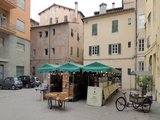 Tusca guest house in historic center of lucca - Lucca area vacation house