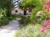 Alentejo rural holiday cottage rental - Self catering cottage Casa da Palmeira