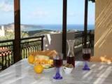 Pano Stalos family holiday villa - Self catering Crete holiday villa rental
