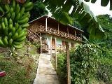 Tobago vacation villa in Caribbean - Self catering Castara villa