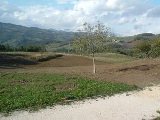 Italy vacation in Bologna farmhouse - Emilia-romagna holiday home