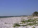 Anna Maria Island vacation condo rentals - Fabulous Runaway Bay holiday homes