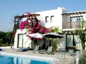 Bouganvilla and sun beds