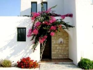 Lots of flowers around house