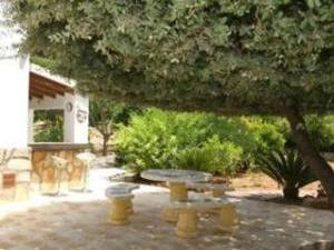 Afternoon tea in the garden