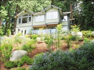 Lovely gardens around