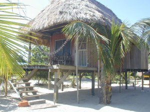 Thatched Roof Cabana