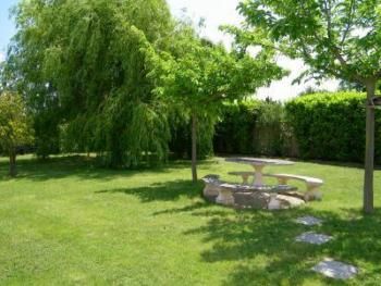 Shady areas in garden