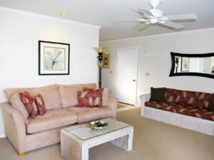 Comfy sofas in living room