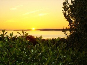 View from front drive