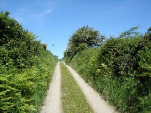 Private lane  to cottage