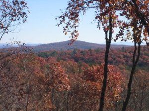 Great Mountain Views