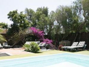 Mature tropical gardens