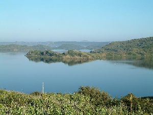 The Albufera 