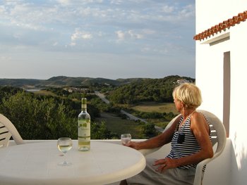 BBQ terrace, looking north