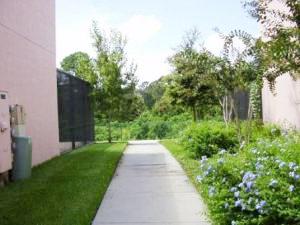 Greenery surrounds the home