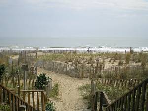 View from Condo Building