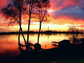 Many more photos at my website