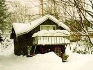 Snowy Cottage