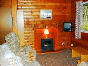 Living area with TV and fire