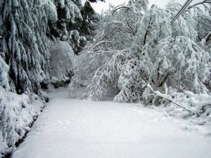 Outside the lodge