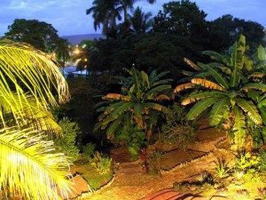 Yard at night