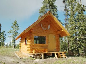 Mt. Lorne cabin