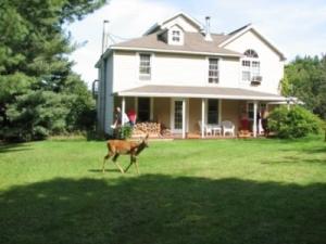 Mont Tremblant ski vacation rental cottage