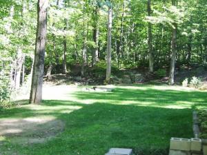 Our gardens