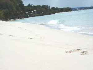 Beach in summer