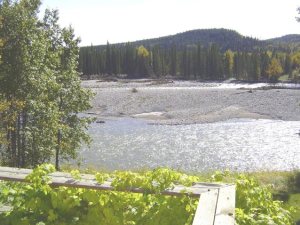 View from deck in summer