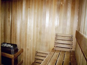 The sauna