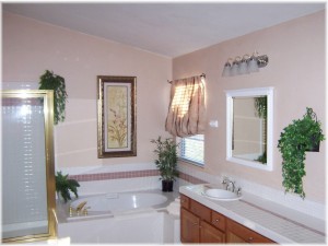 Master bathroom