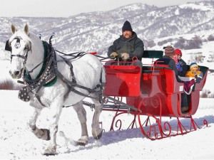 Sleigh ride