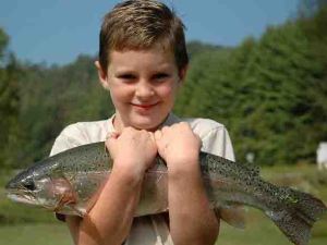 The fish are fee when you stay