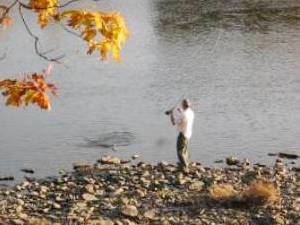 Miramichi River