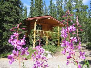 Cabin with Fireweed in bloom